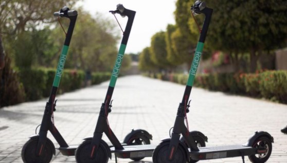 الرابيت- أرشيفية 