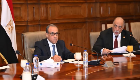 الدكتور بدر عبد العاطي وزير الخارجية