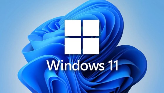 نظام Windows 11