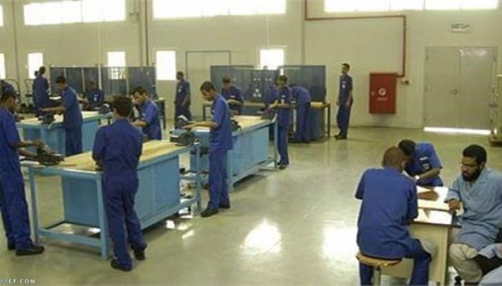 التعليم الفني