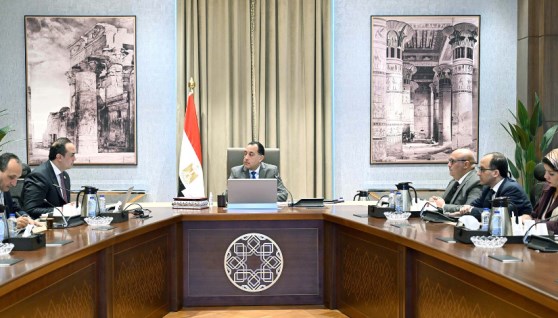 خلال اجتماع رئيس مجلس الوزراء 