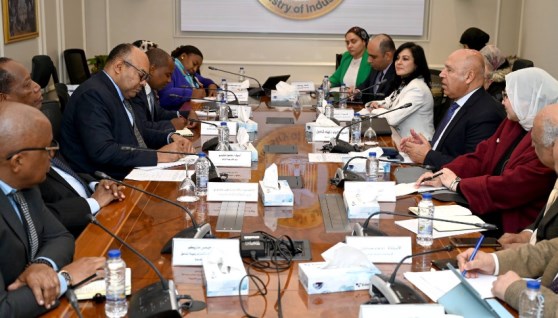 خلال لقاء  الفريق كامل الوزير مع وفد من جمهورية تنزانيا 