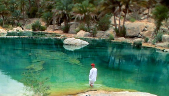 شركة عُمانية تونسية لـ تطوير السياحة والصناعة