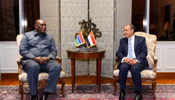 وزير الخارجية يلتقي نظيره الجامبي