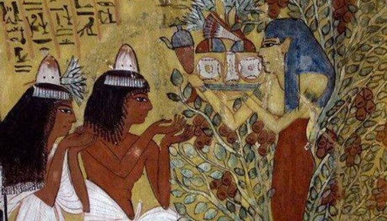 شجرة عيد الميلاد والتقويم واحتفالات عيد الميلاد