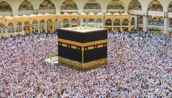 الحج والعمرة 