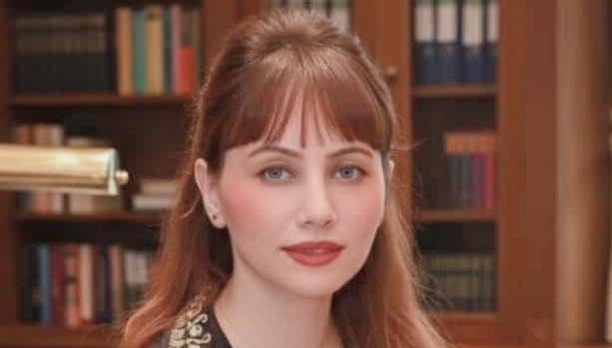 دينا عبد العزيز- المرشحة السابقة لمجلس النواب عن حلوان