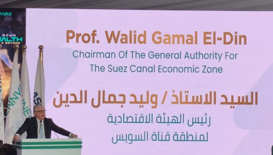 وليد جمال الدين- رئيس اقتصادية قناة السويس