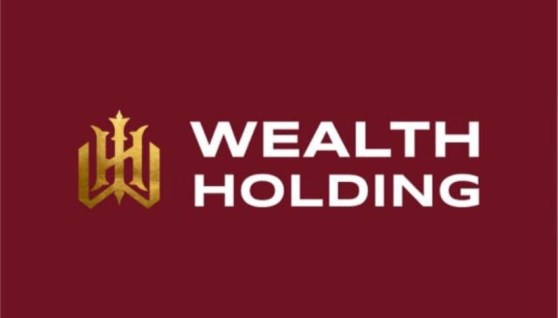 شركة ويلث هولدينج