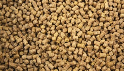 أعلاف الدواجن