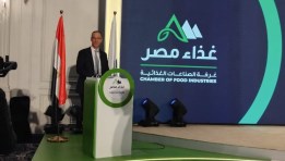 المهندس أشرف الجزايرلي