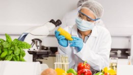 فنى مراقبة أغذية