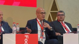 هشام النجار- نائب رئيس المجلس التصديري للحاصلات الزراعية