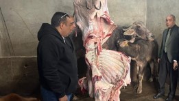 لحوم - صورة موضوعية