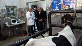 رئيس الوزراء يتفقد الوحدة البيطرية بقرية "نوى" 