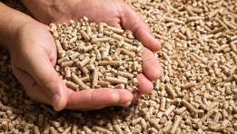 أعلاف الدواجن