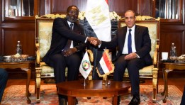 وزير الخارجية مع رئيس مفوضية الإيكواس