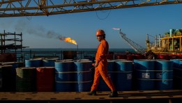 النفط في البرازيل