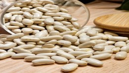  زراعة الفاصوليا البيضاء