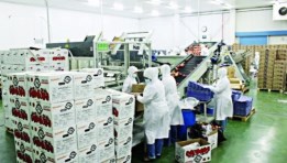 وظائف وزارة العمل 