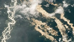 ذهب على ضفاف الأنهار 