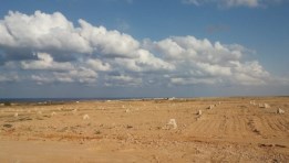 طلبات حجز الأراضي 