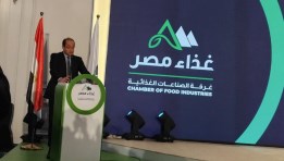 وزير المالية أحمد كجوك