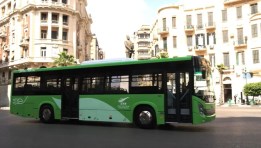 قطاع النقل الأخضر