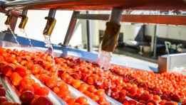 التصنيع الزراعي 