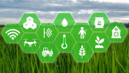 النظام الغذائي الزراعي