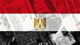 الاستثمار المصري