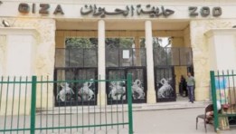 حديقة حيوان الجيزة