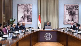 لقاء رئيس الوزراء مع مجموعة "فيكا" الفرنسية