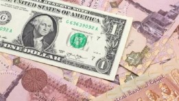 أسعار الدولار أمام الجنيه المصري