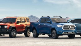 سيارات لشركة GWM -أرشيفية