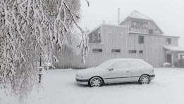 تساقط الثلوج