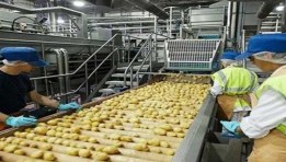 الصناعات الغذائية