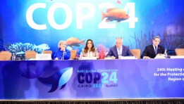 مؤتمر الأطراف الرابع والعشرين لاتفاقية حماية بيئة البحر المتوسط من التلوث