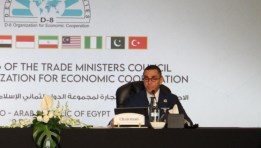 وزير الاستثمار والتجارة الخارجية