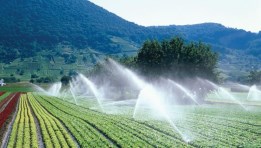 ري المحاصيل - صورة تعبيرية