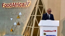 جانب من الفعاليات 