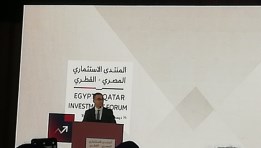 جانب من الفعاليات 