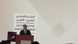 جانب من الفعاليات 