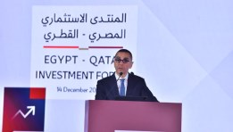 جانب من الفعاليات 