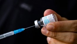 لقاح - صورة تعبيرية