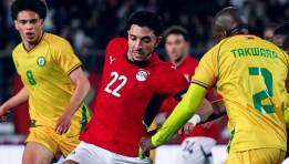 مصر وجنوب إفريقيا