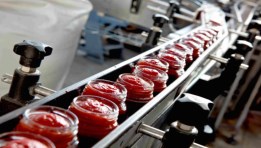 خط إنتاج كاتشب - صورة موضوعية