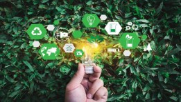 الصناعات الخضراء المستدامة