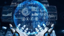 برمجيات- تعبيرية 