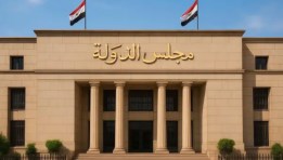 مجلس الدولة